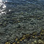 Le Pénéqué Des Anges Appartamento La Ciotat