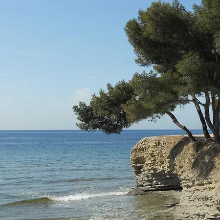 Le Peneque Des Anges