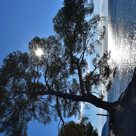 Le Peneque Des Anges * La Ciotat