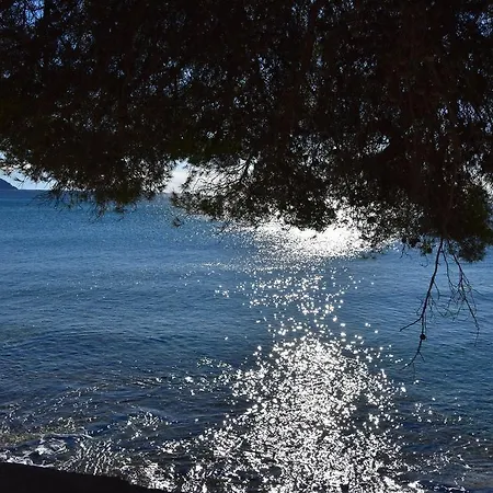 Le Peneque Des Anges *