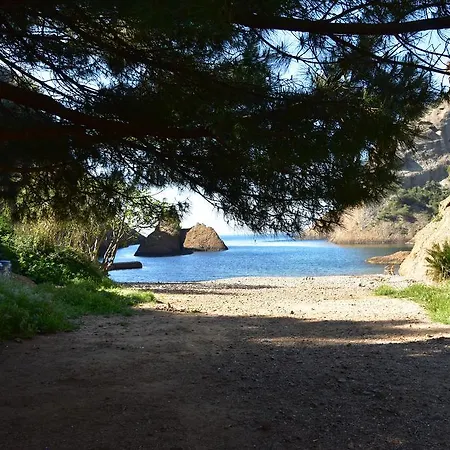 Le Peneque Des Anges * La Ciotat