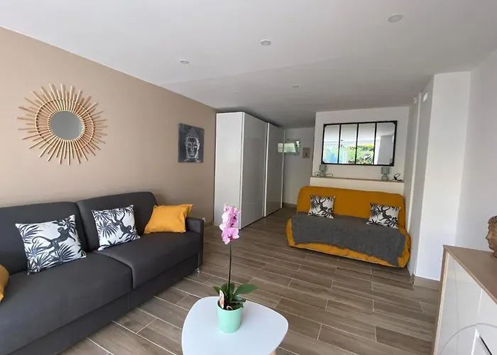 Studio Le Peneque Des Anges Apartment *