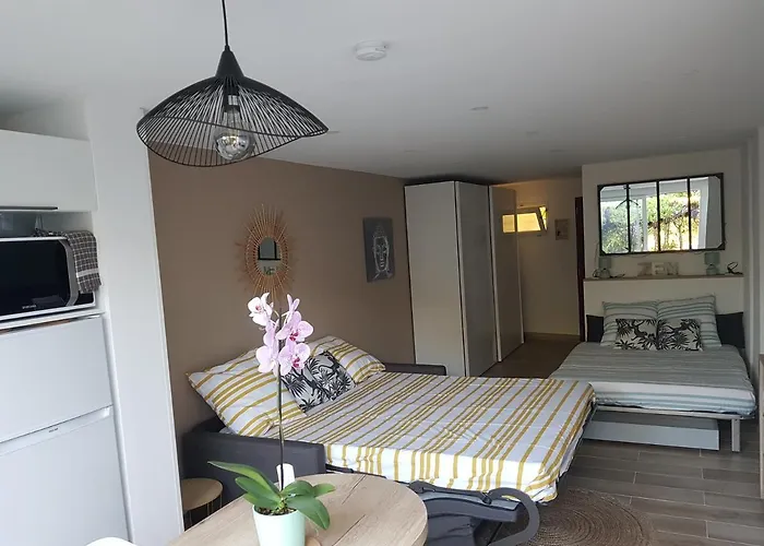 Studio Le Peneque Des Anges Apartment