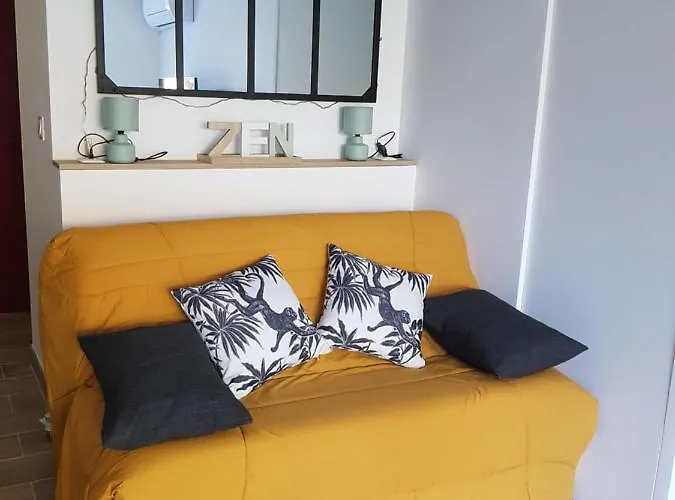 Studio Le Peneque Des Anges Apartment *
