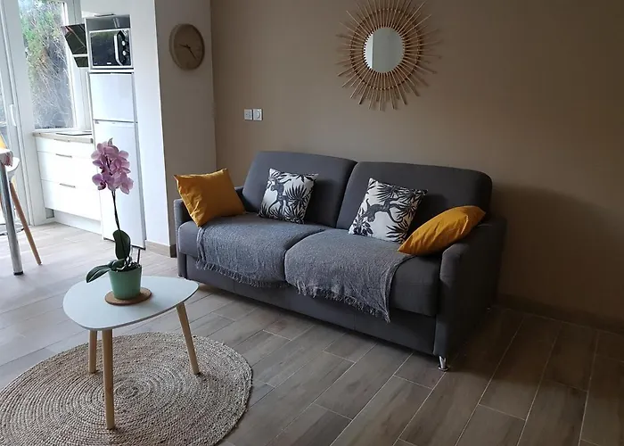 Le Peneque Des Anges La Ciotat