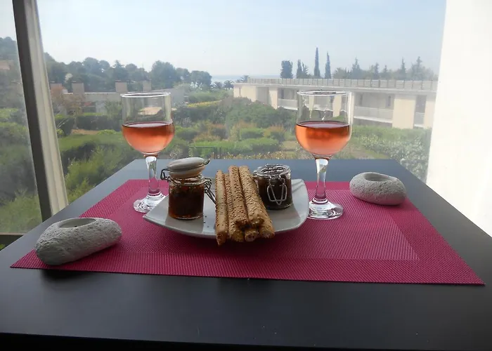 Appartement Le Peneque Des Anges *