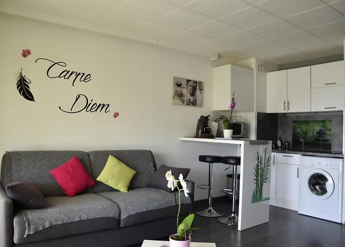 Studio Le Peneque Des Anges Apartment