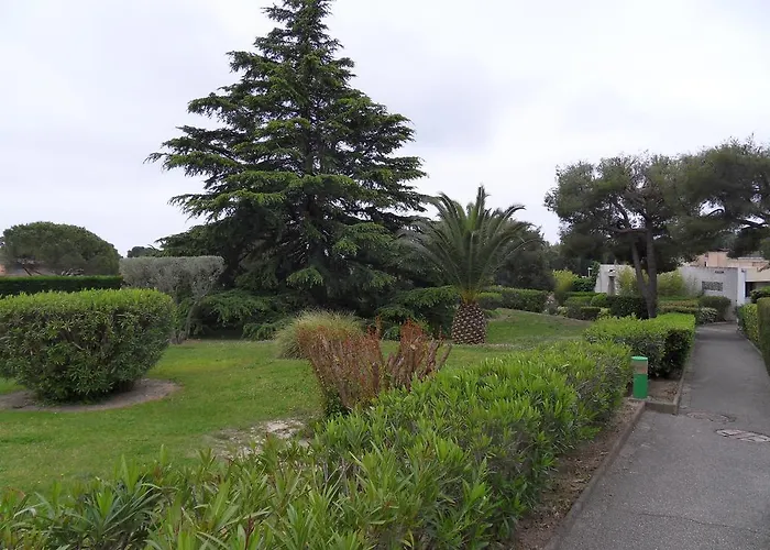 Appartement Le Peneque Des Anges *