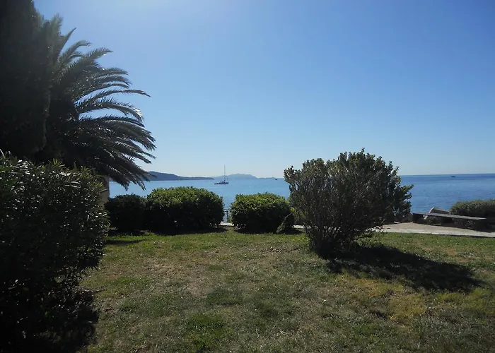 Le Peneque Des Anges La Ciotat