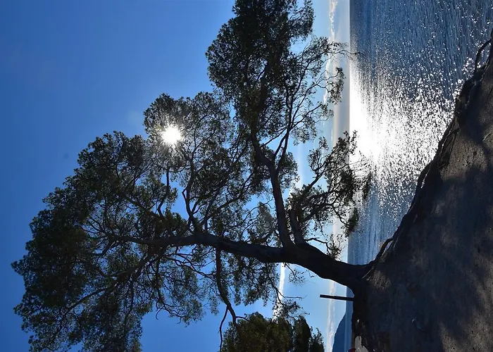 Le Peneque Des Anges * La Ciotat