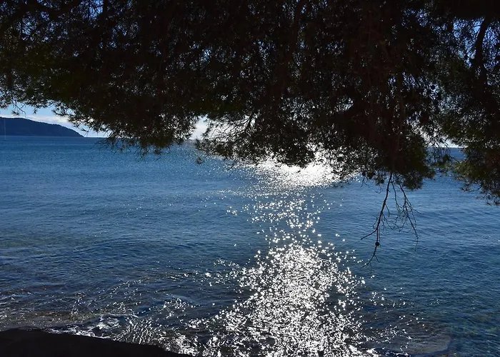 Le Peneque Des Anges *