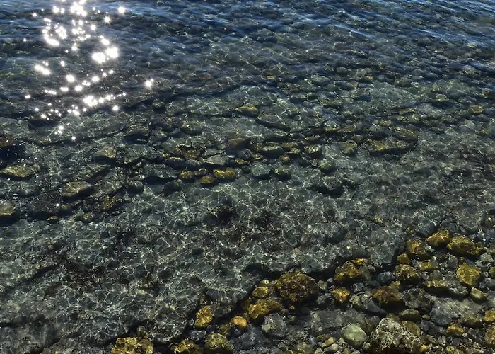 Le Peneque Des Anges Appartement La Ciotat